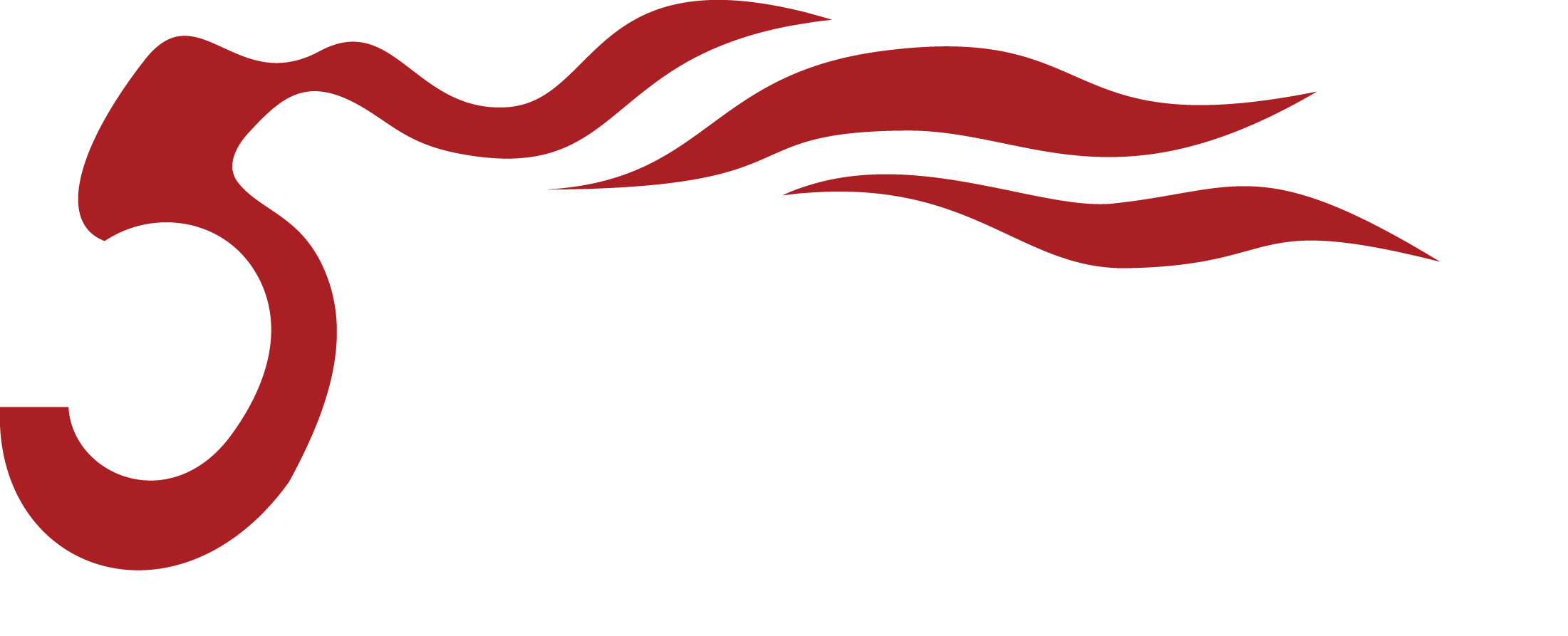 Soundking